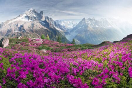 Precise measurement and flexible configuration